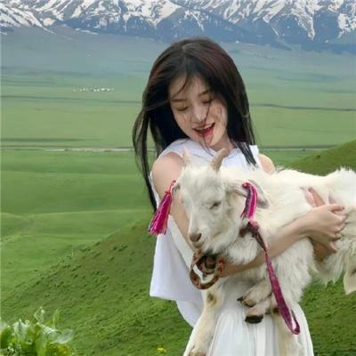 轻骑兵的冲锋
